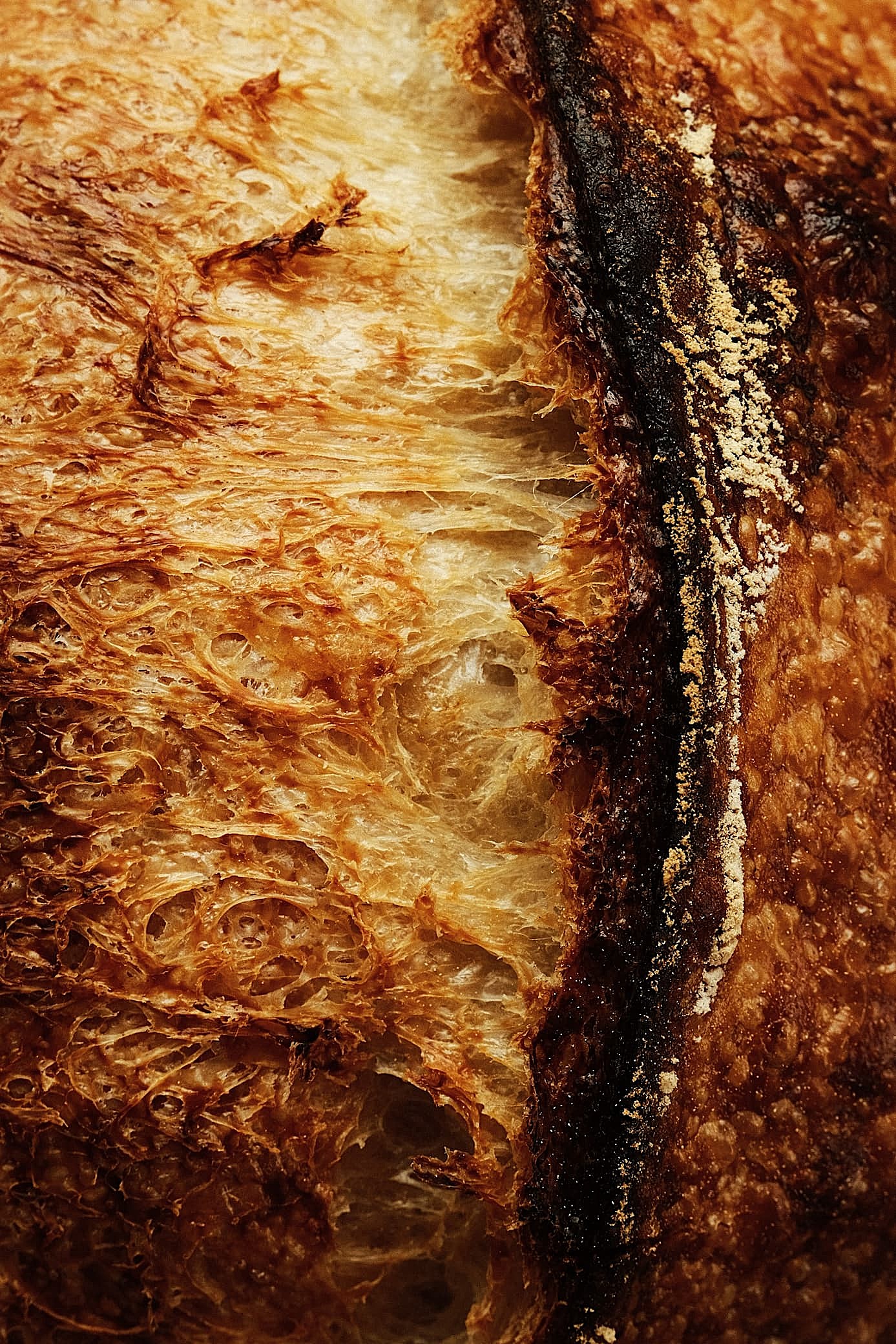 Blonde Country detail 6