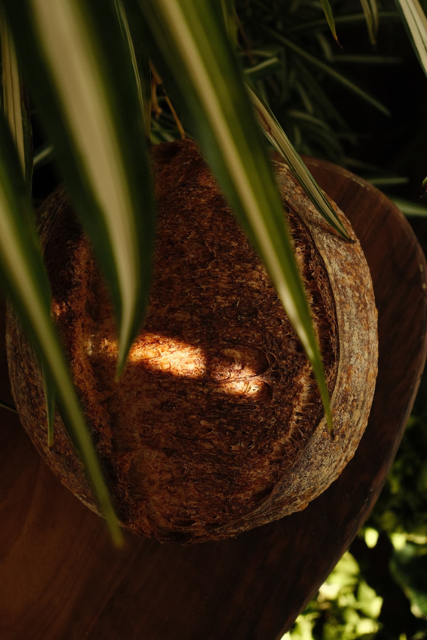 Strong Country detail 3