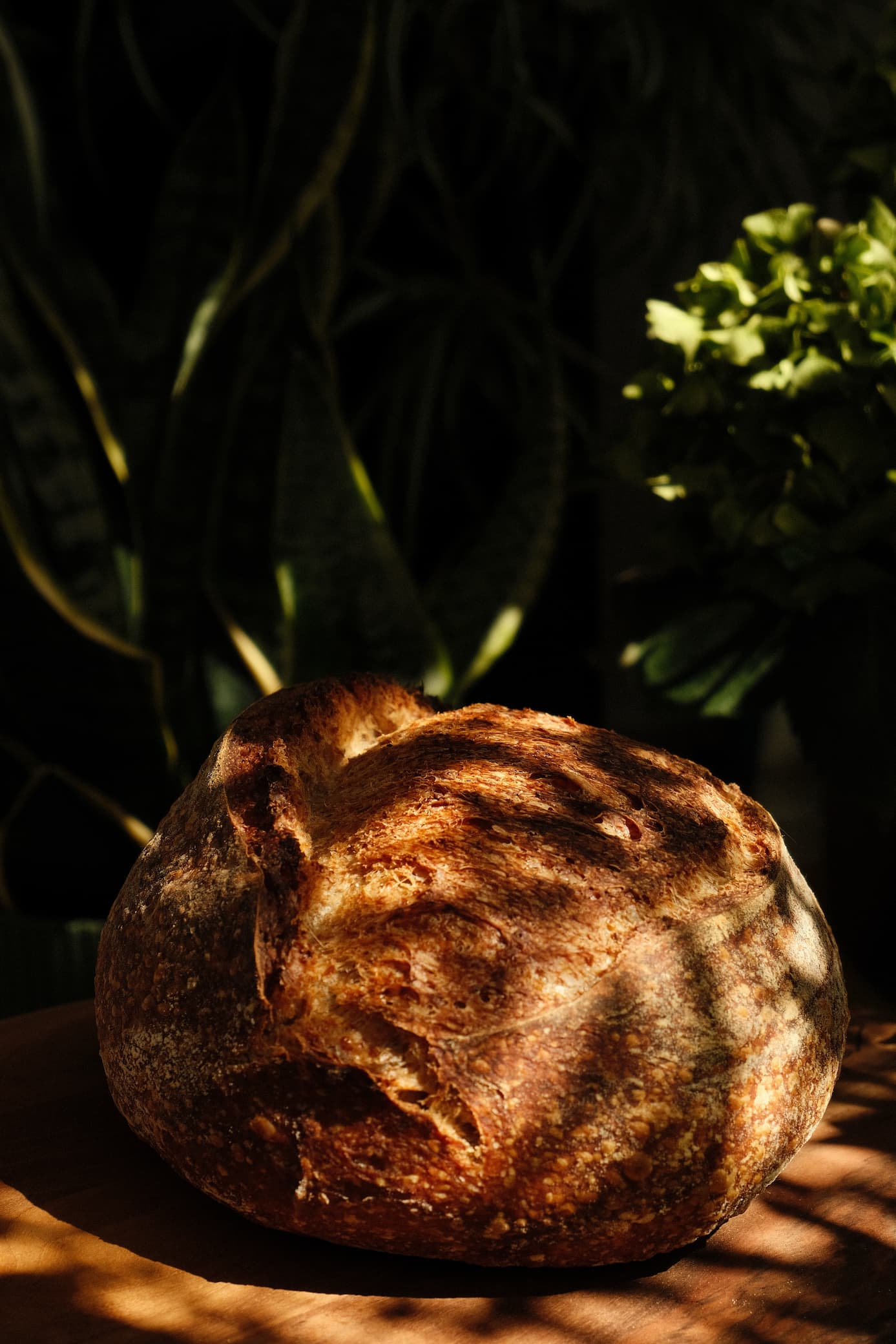 Strong Country detail 4