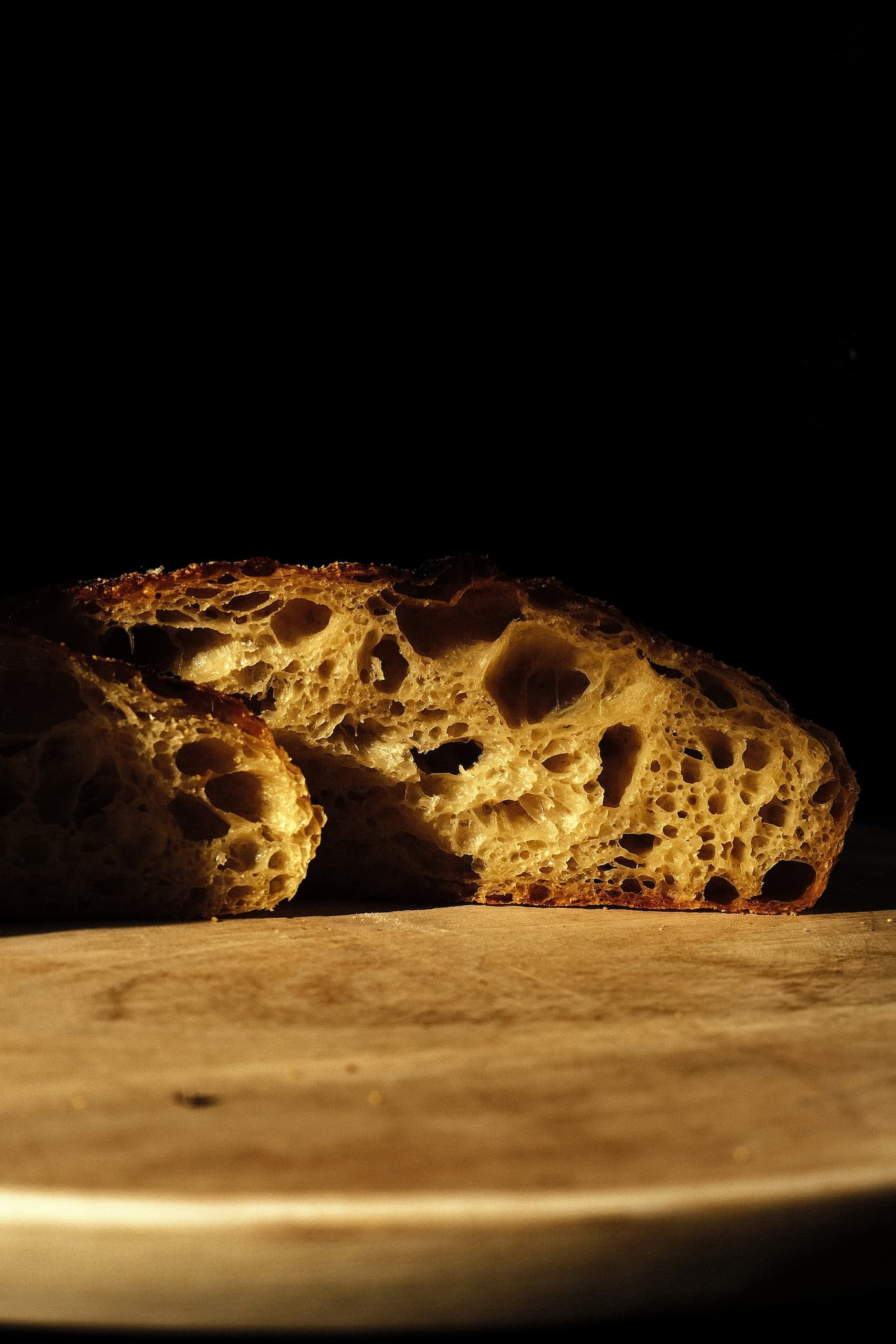 Dalmatian Oro detail 2