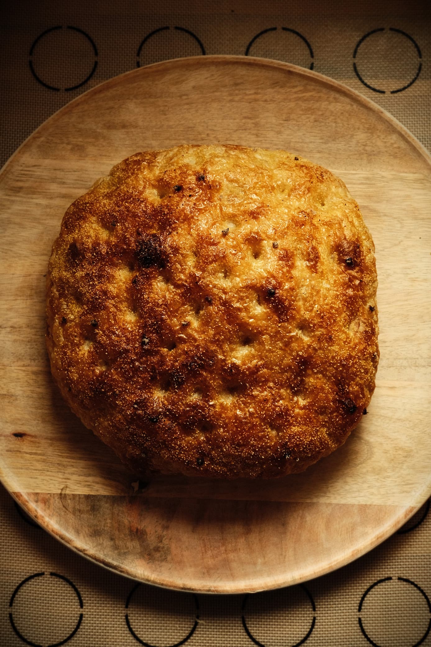 Dalmatian Oro detail 3