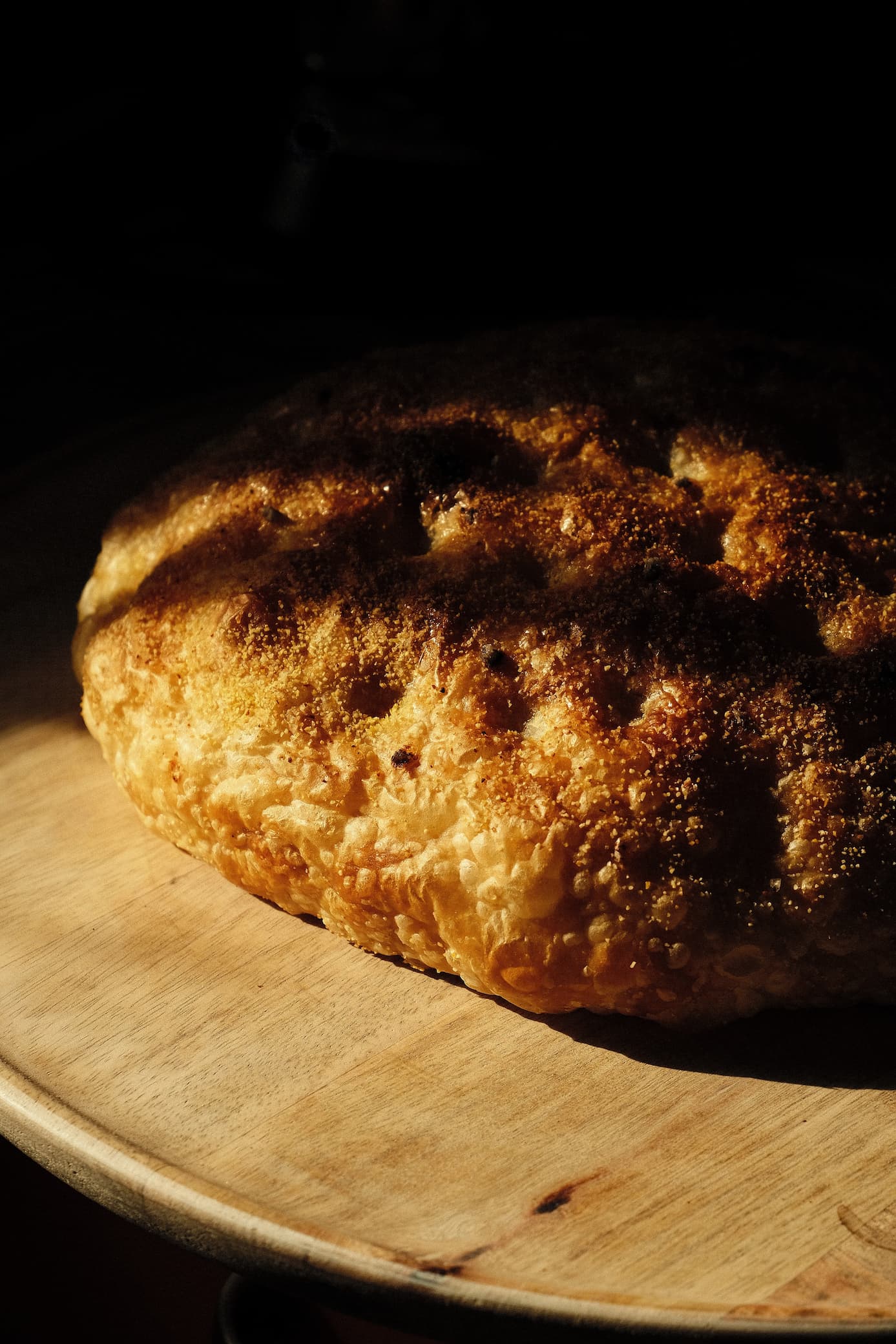 Dalmatian Oro detail 4