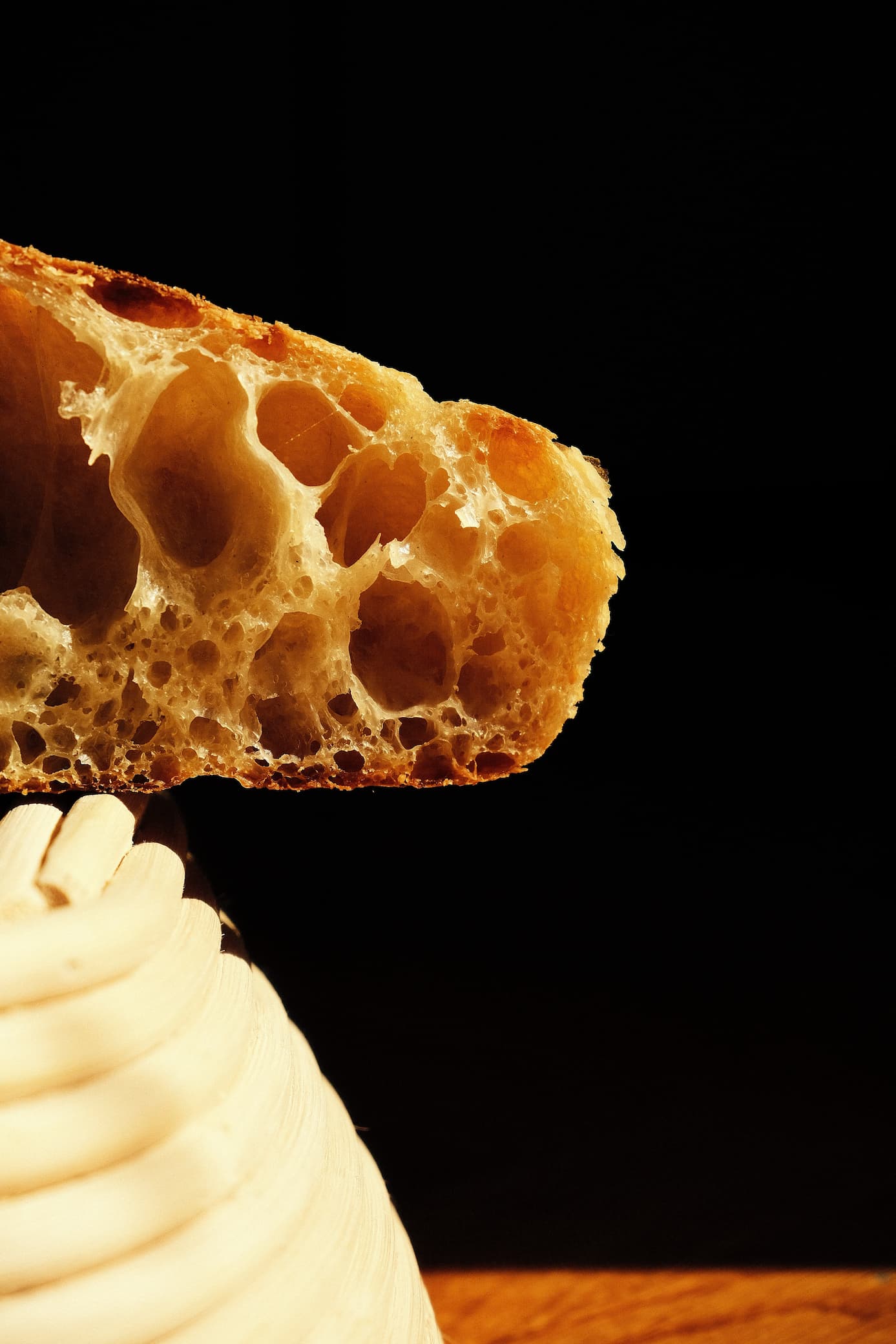 Dalmatian Oro detail 5