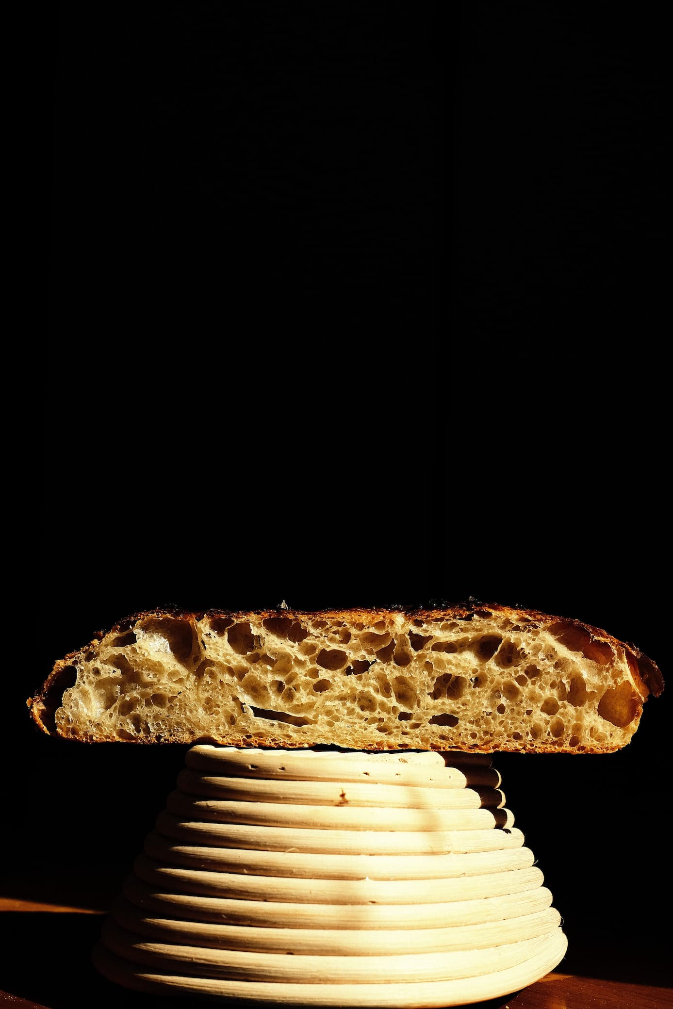 Dalmatian Oro detail 6